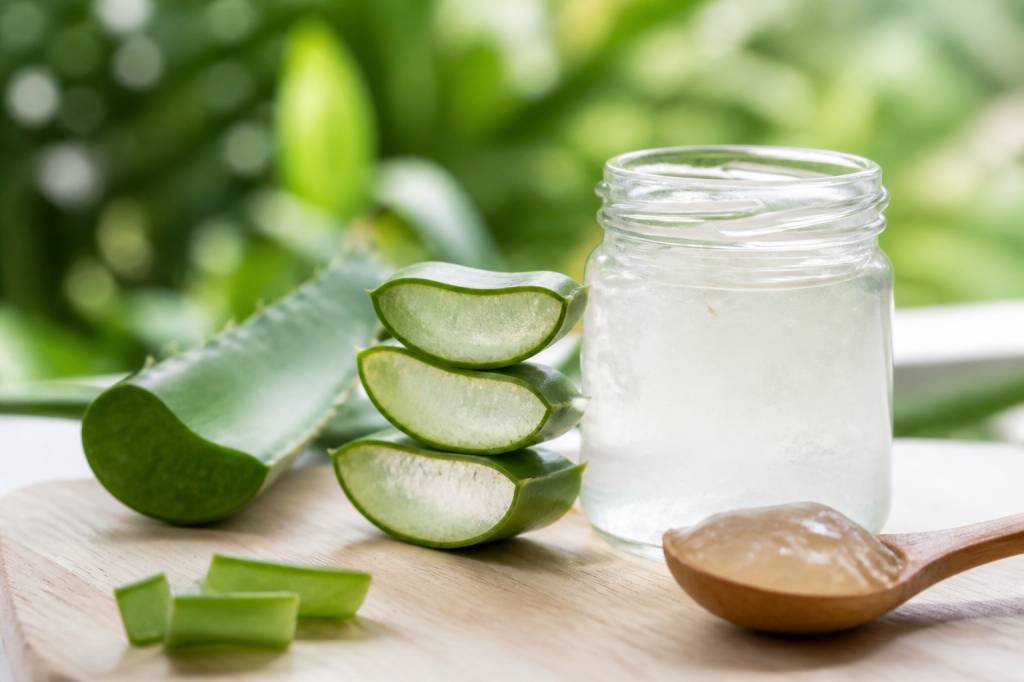 Bienfait aloe vera : quels sont ses usages et ses avantages pour la peau et la santé Bienfait aloe vera : quels sont ses usages et ses avantages pour la peau et la santé