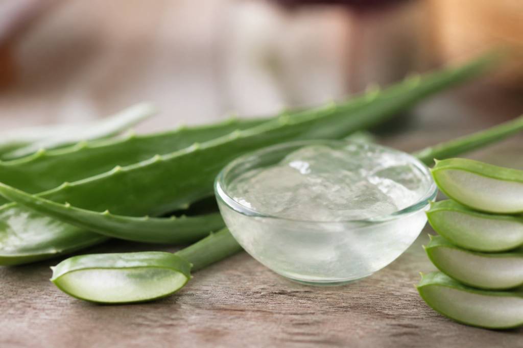Les bienfaits de l’aloe vera sur la peau : hydratation, apaisement et éclat naturel Les bienfaits de l'aloe vera sur la peau : hydratation, apaisement et éclat naturel