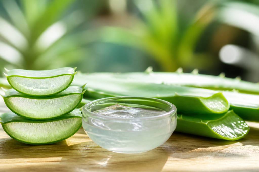 Quels sont les bienfaits de l’aloe vera ? découvrez ses effets sur la peau et la santé Quels sont les bienfaits de l’aloe vera ? découvrez ses effets sur la peau et la santé